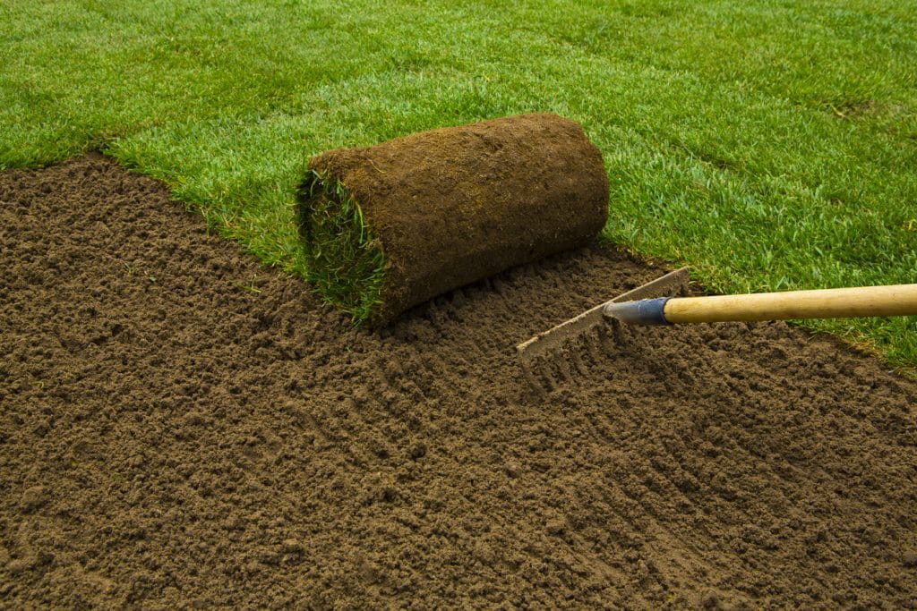 How Long To Water New Sod