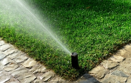 Lawn Watering Guide For North Texas