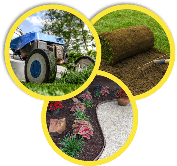 fort worth lawn services