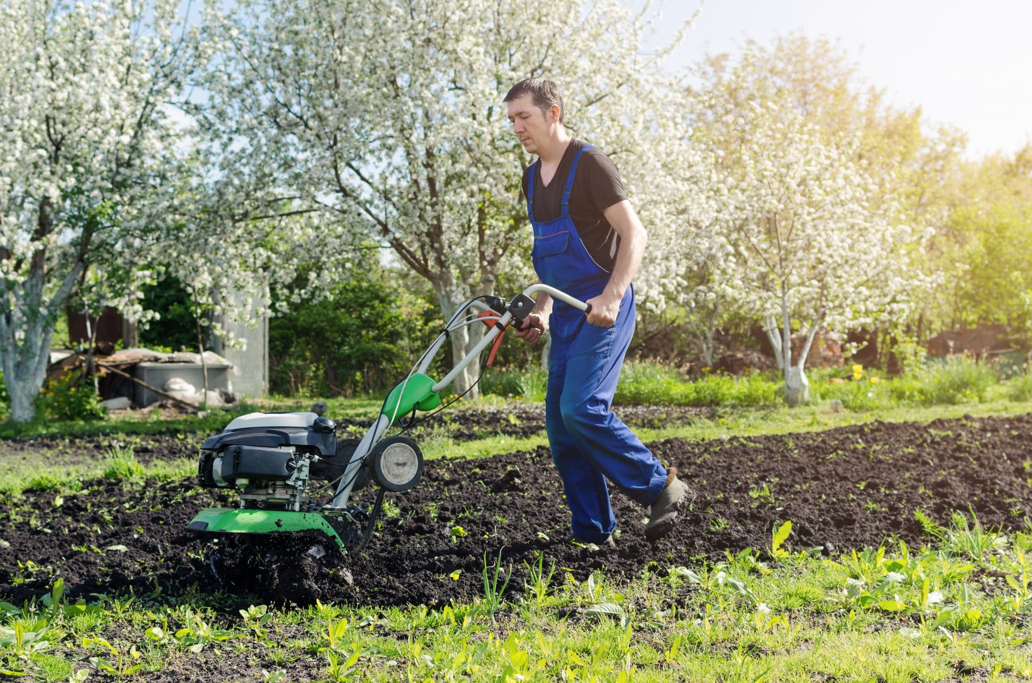  Lawn Service Fort Worth