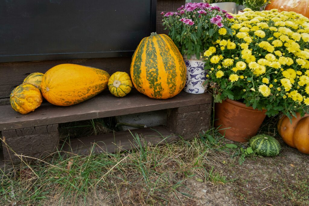 simple fall landscaping ideas
